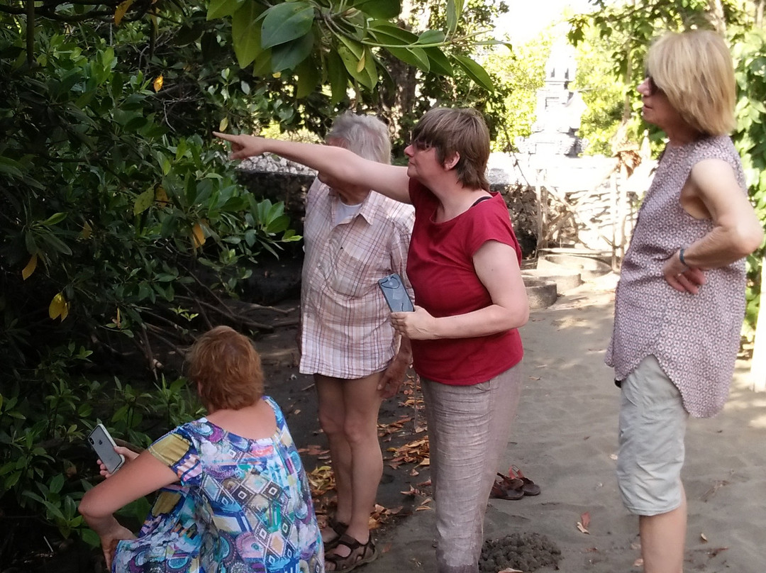 The Arya Guest House主图