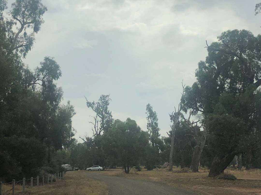 Kyffins Reserve-Mulwala必去景点