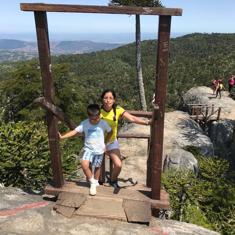 Parque Nacional Nahuelbuta-Angol必去景点