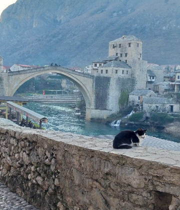 Experience Dalmatia Private Tours in Croatia and Balkans-斯普利特必去景点