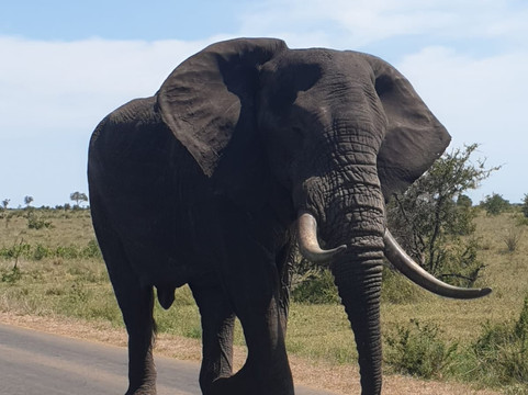 Vast Horizon Tours-霍德斯普鲁特必去景点