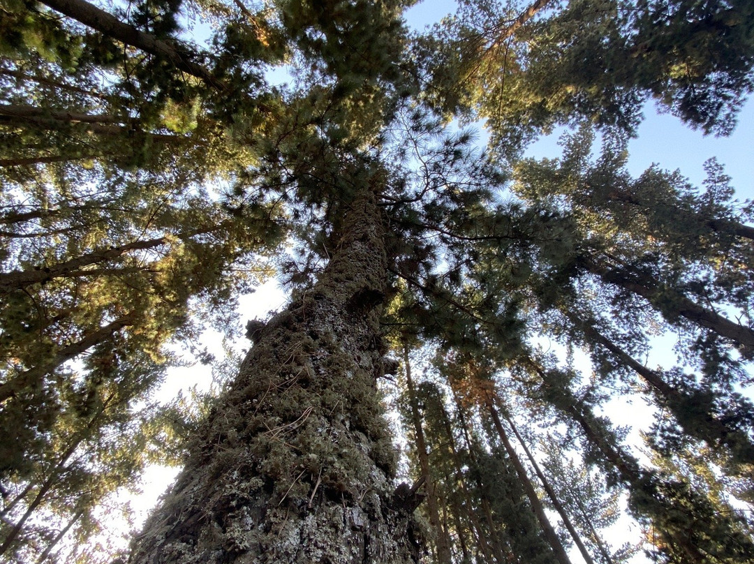 Run Africa-亚的斯亚贝巴必去景点