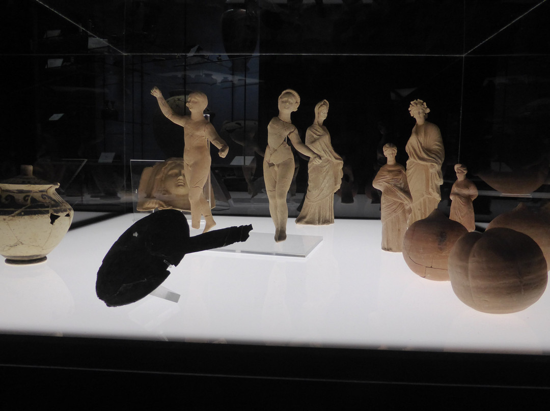 Museo Archeologico George Vallet景点图片