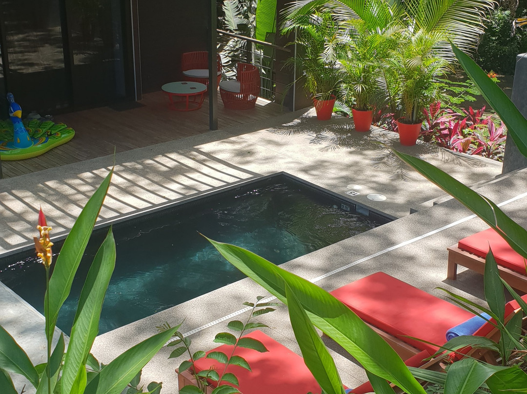 Hotel Le Cabanon主图