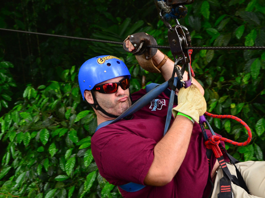 Ecoglide Arenal Park-福德圣卡洛斯必去景点