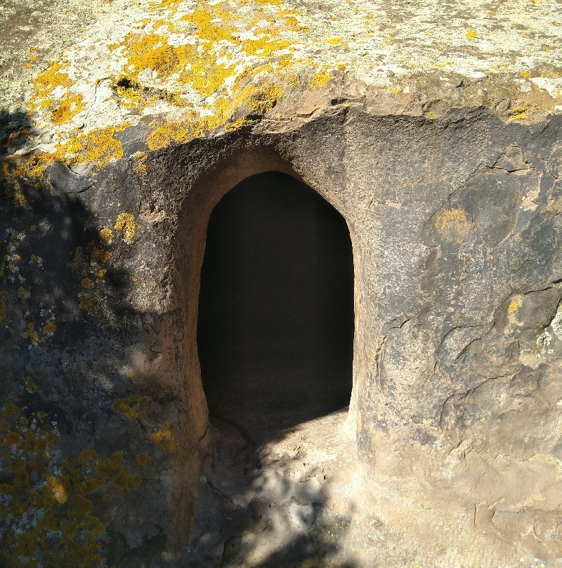 Oniferi旅游攻略图片