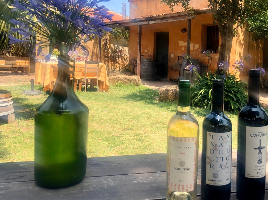 Bodega Campo Tinto-Carmelo必去景点