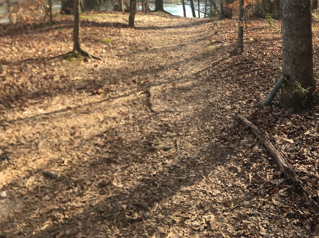 Island Ford Park-桑迪斯普林斯必去景点