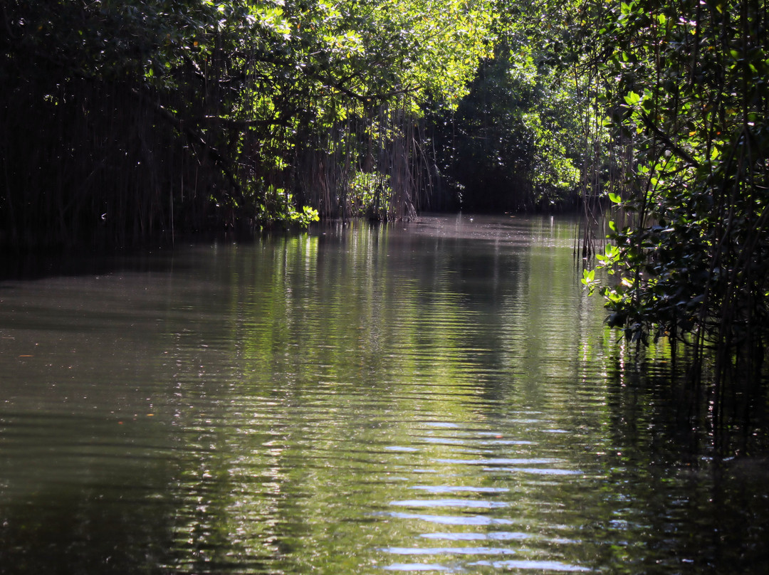 Jamaica Shore Expeditions-蒙特戈贝必去景点