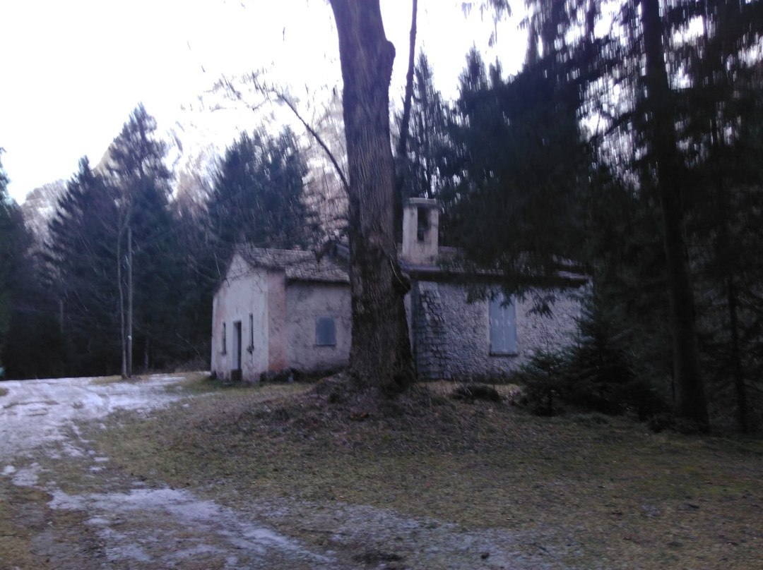 Foresta Bagni Masino景点图片