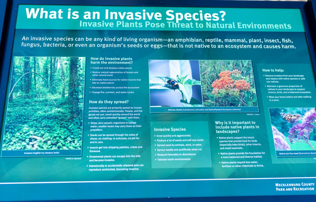 Four Mile Creek Greenway-马修斯必去景点