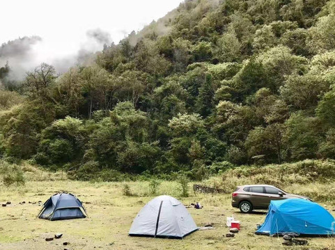 Reise Travel(YTS)-成都必去景点