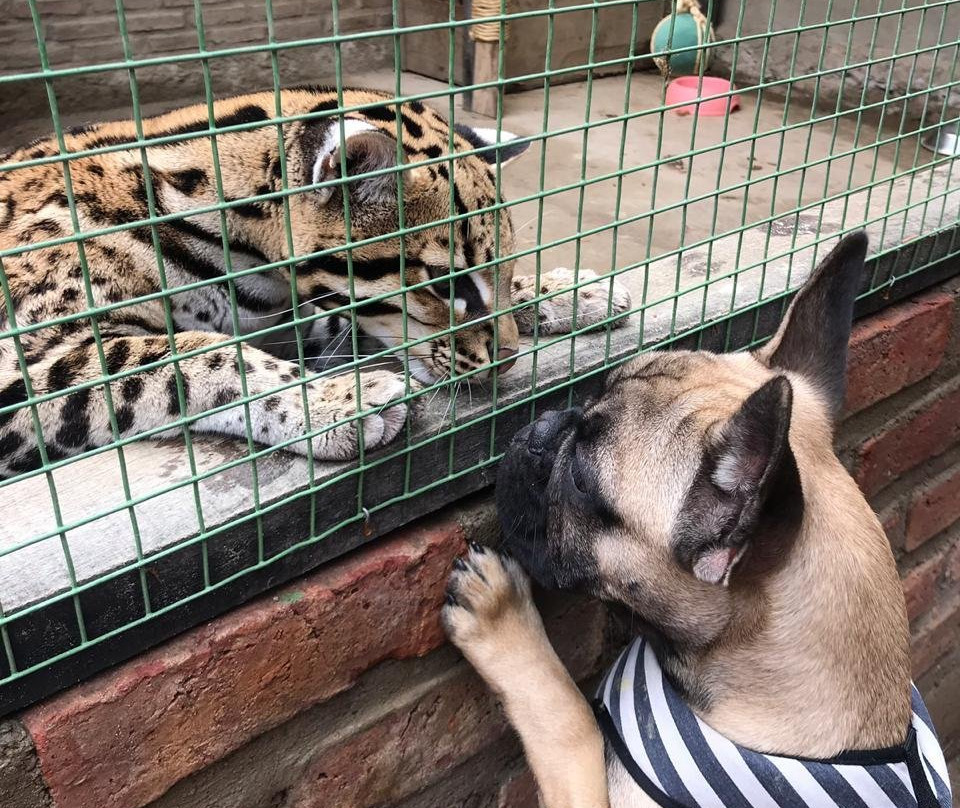 Parque de las Aves Agroflori-科恰班巴必去景点