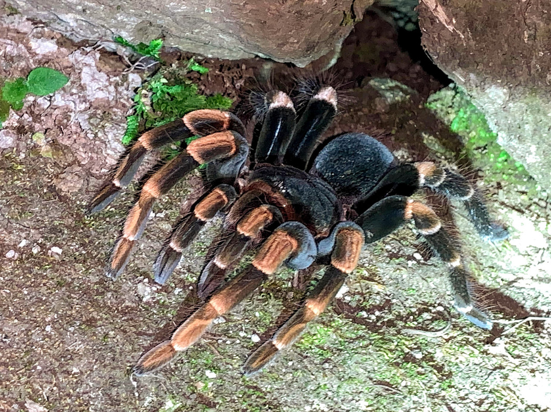 Valle Escondido Night Tour-圣埃伦娜必去景点