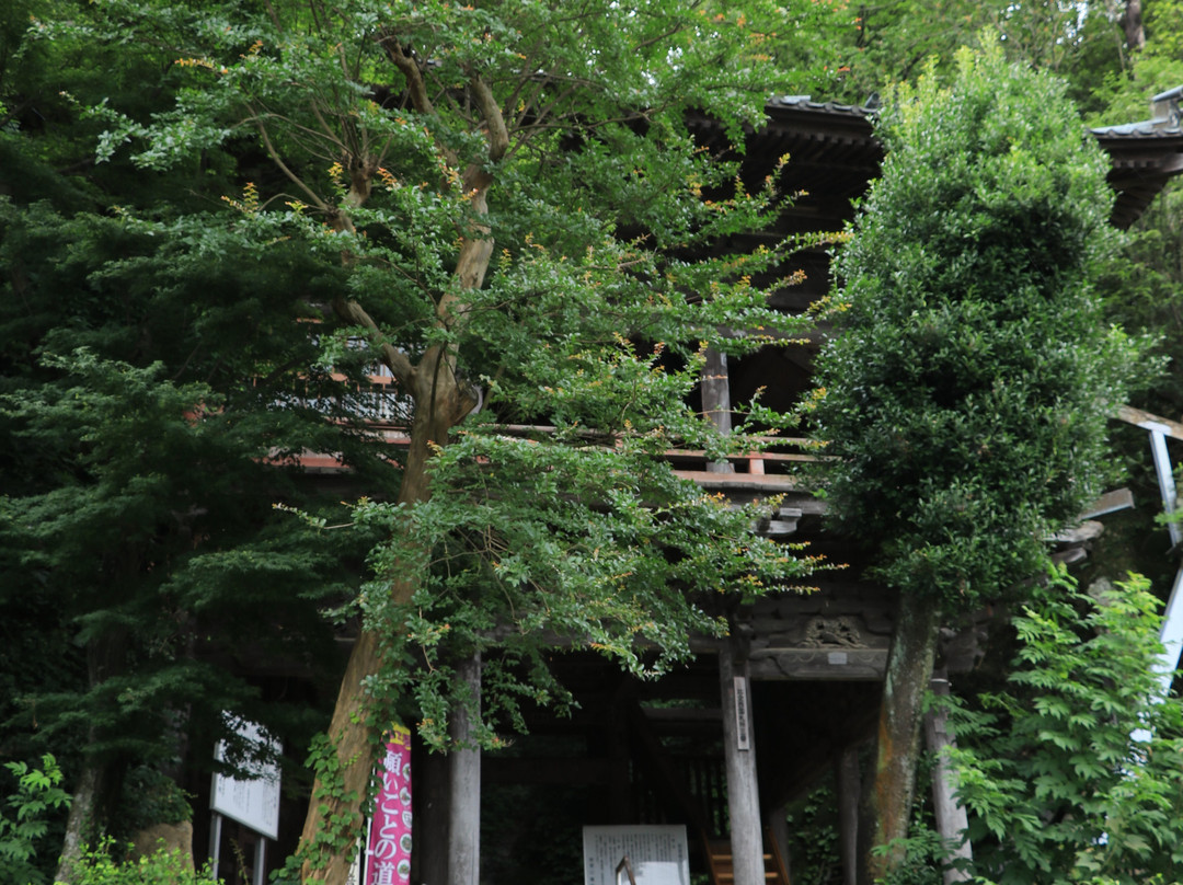 Iwamuro Kannon-吉见町必去景点