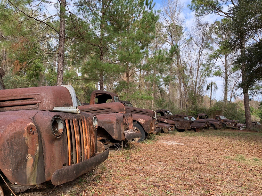 Roadside Rusted Ford Trucks-Crawfordville必去景点