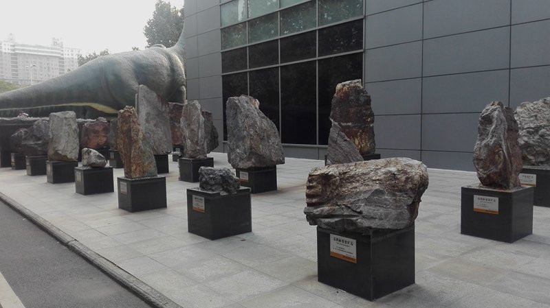 河南地质博物馆-郑州市必去景点