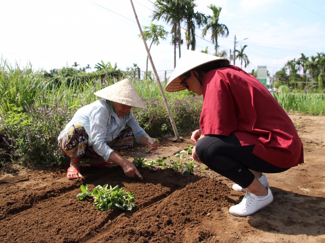 Hoi An Guided Tours-会安必去景点