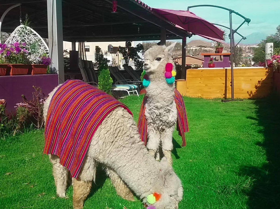 G Hotels Collect主图