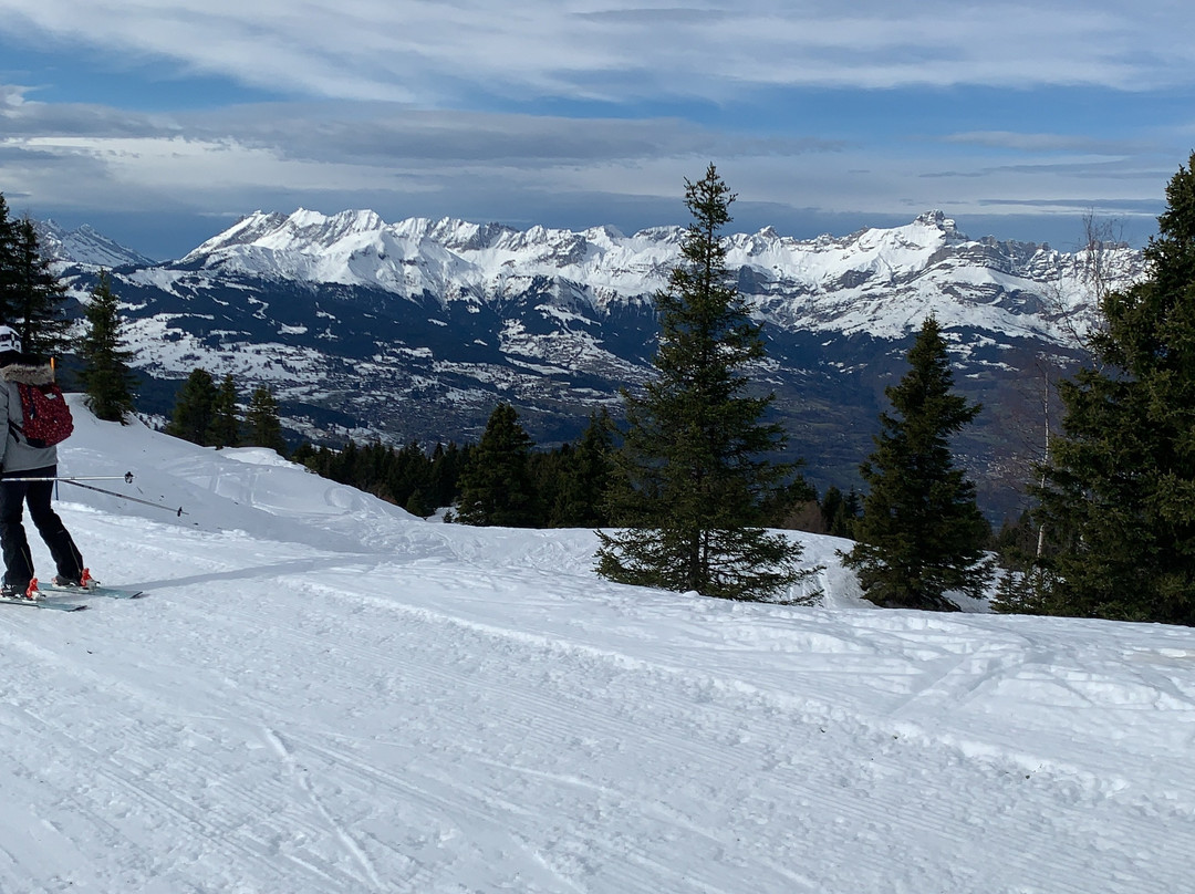 Les Houches/Saint Gervais Ski Area景点图片