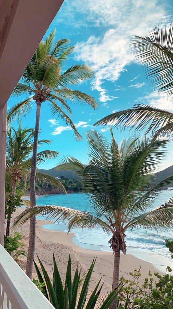 Curtain Bluff-portrait
