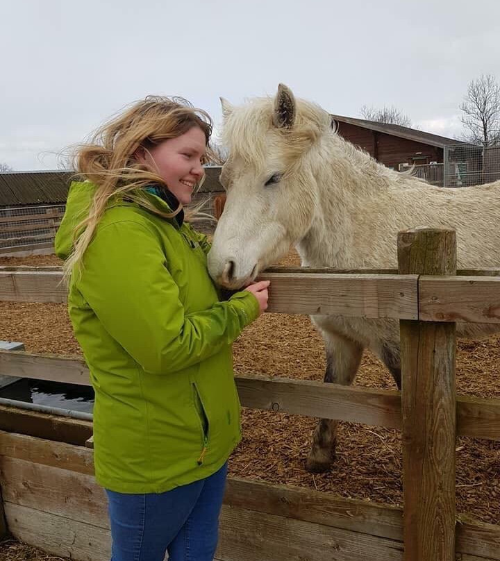 Redwings Horse Sanctuary景点图片