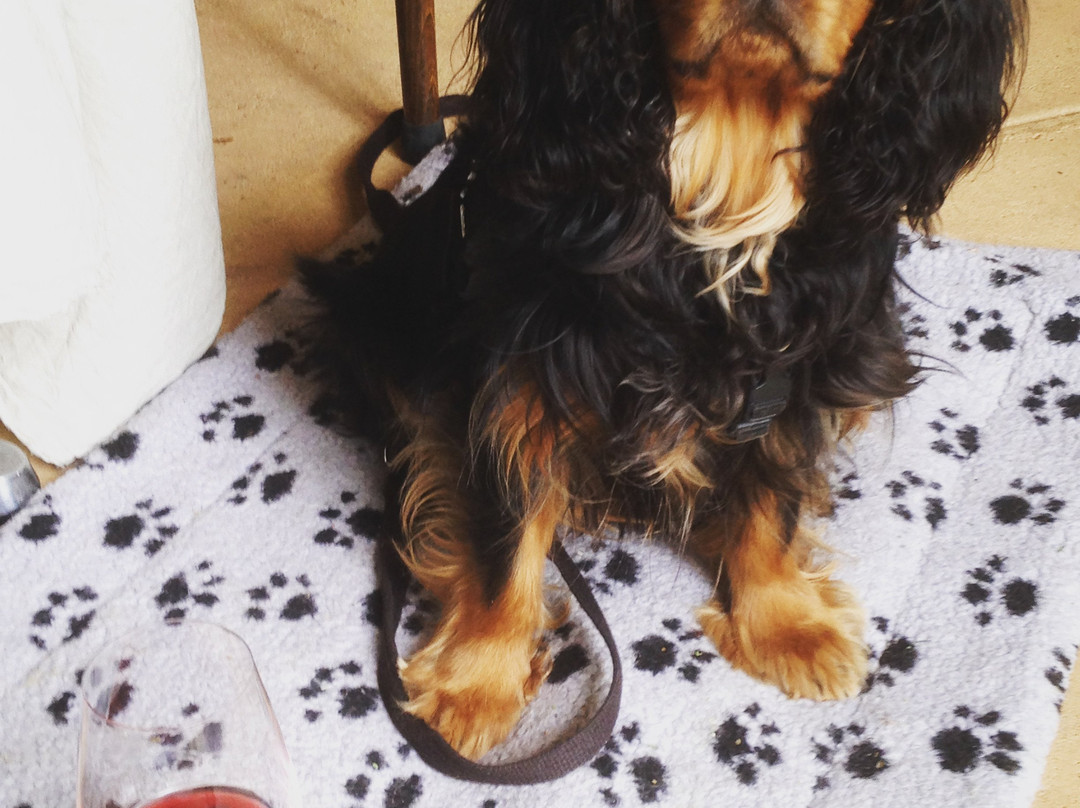 Somerled Wines-汉道夫德国村必去景点