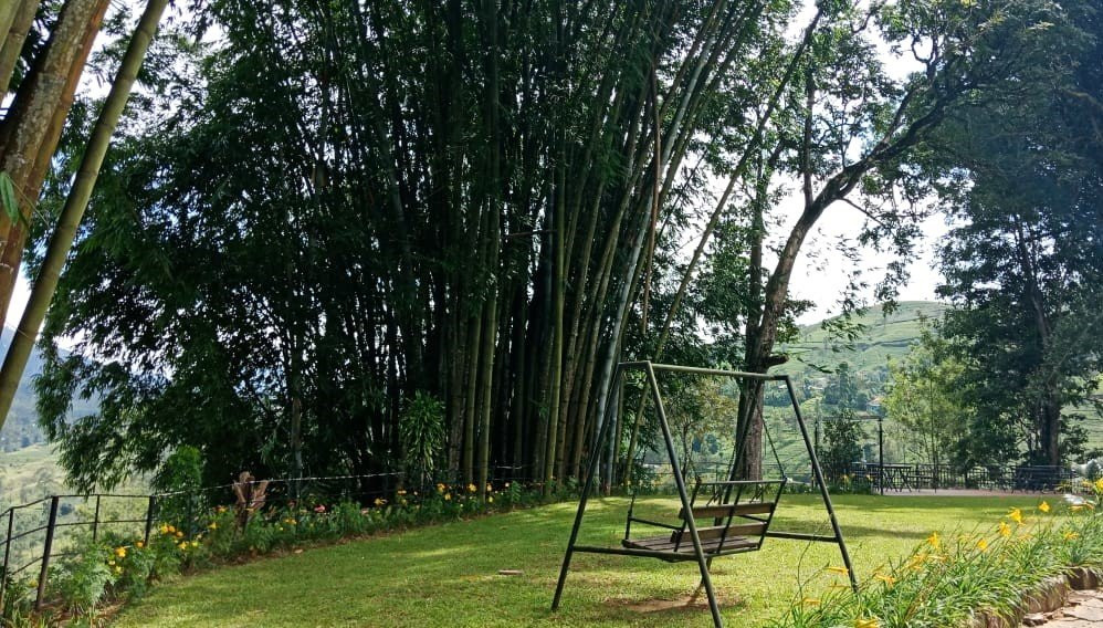 Mandira Strathdon Bungalow主图