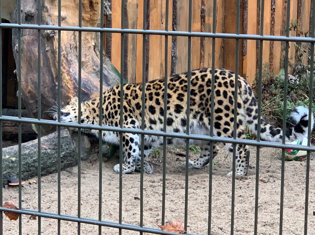 Zoo Adventure Park / Zoo Seikluspark-塔林必去景点