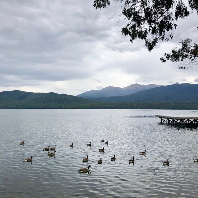 蒂阿瑙湖景点图片