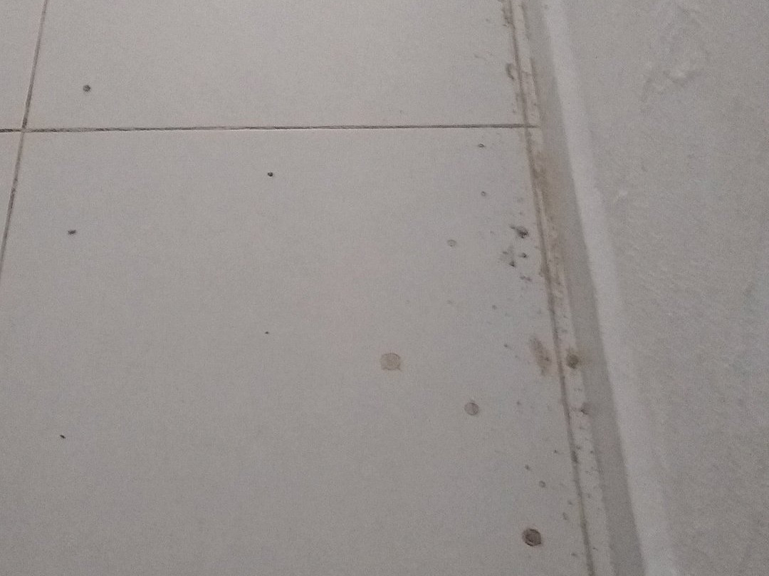 Casssa Vlanca Hotel主图