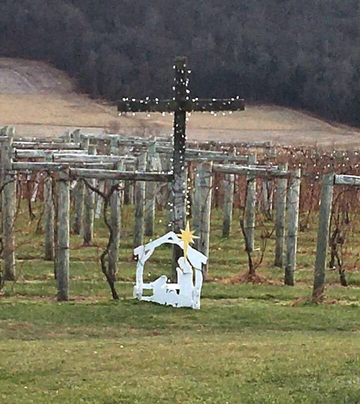 Benigna’s Creek Vineyard and Winery景点图片