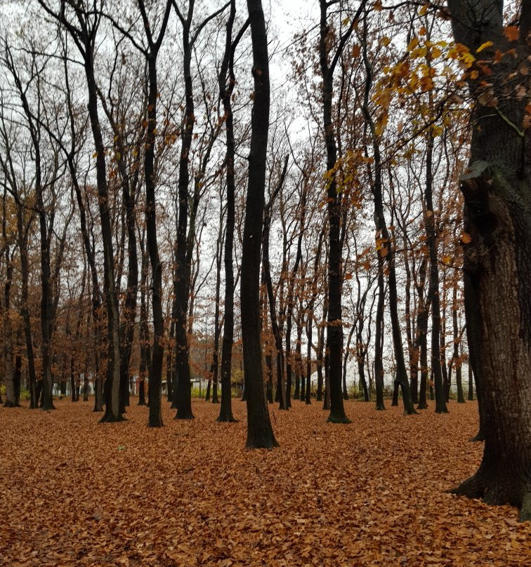 Zapaden Park-索非亚必去景点