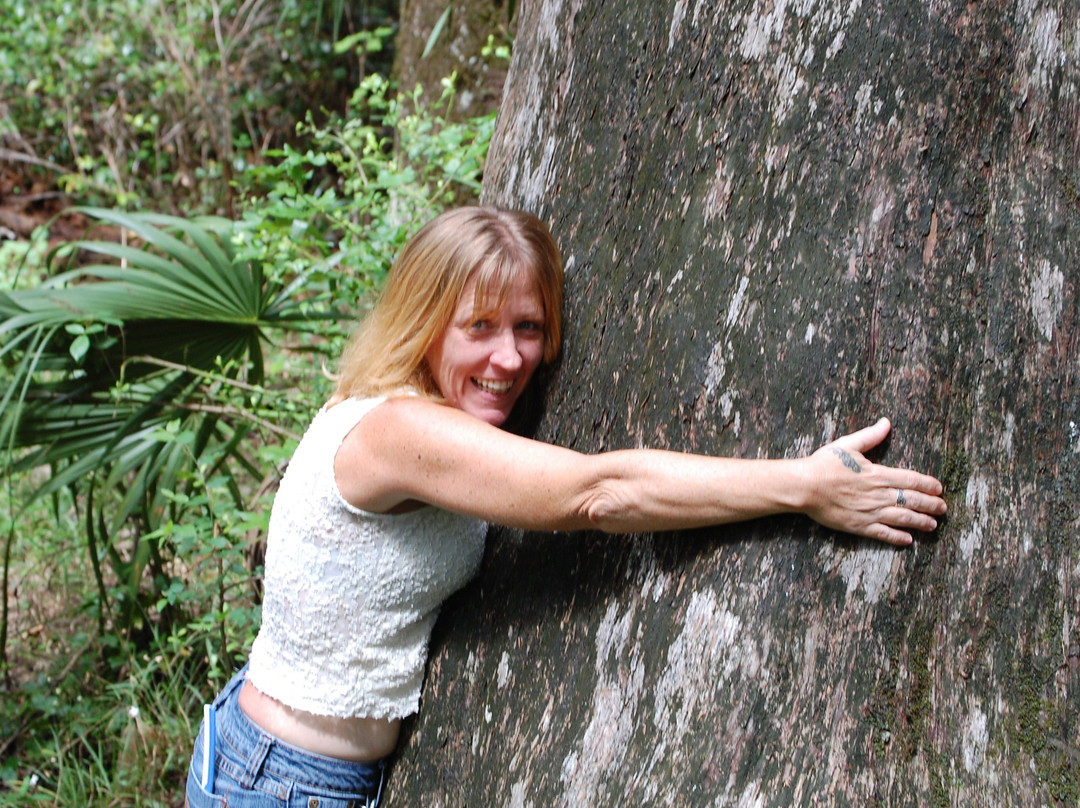 Goethe State Forest-Dunnellon必去景点