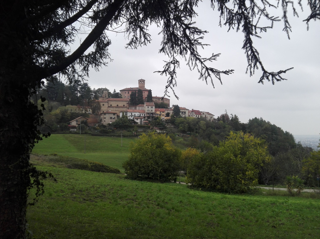 Castello Gancia景点图片