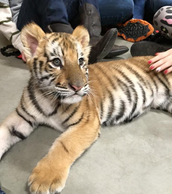 Wildlife In Need, Inc.-Charlestown必去景点