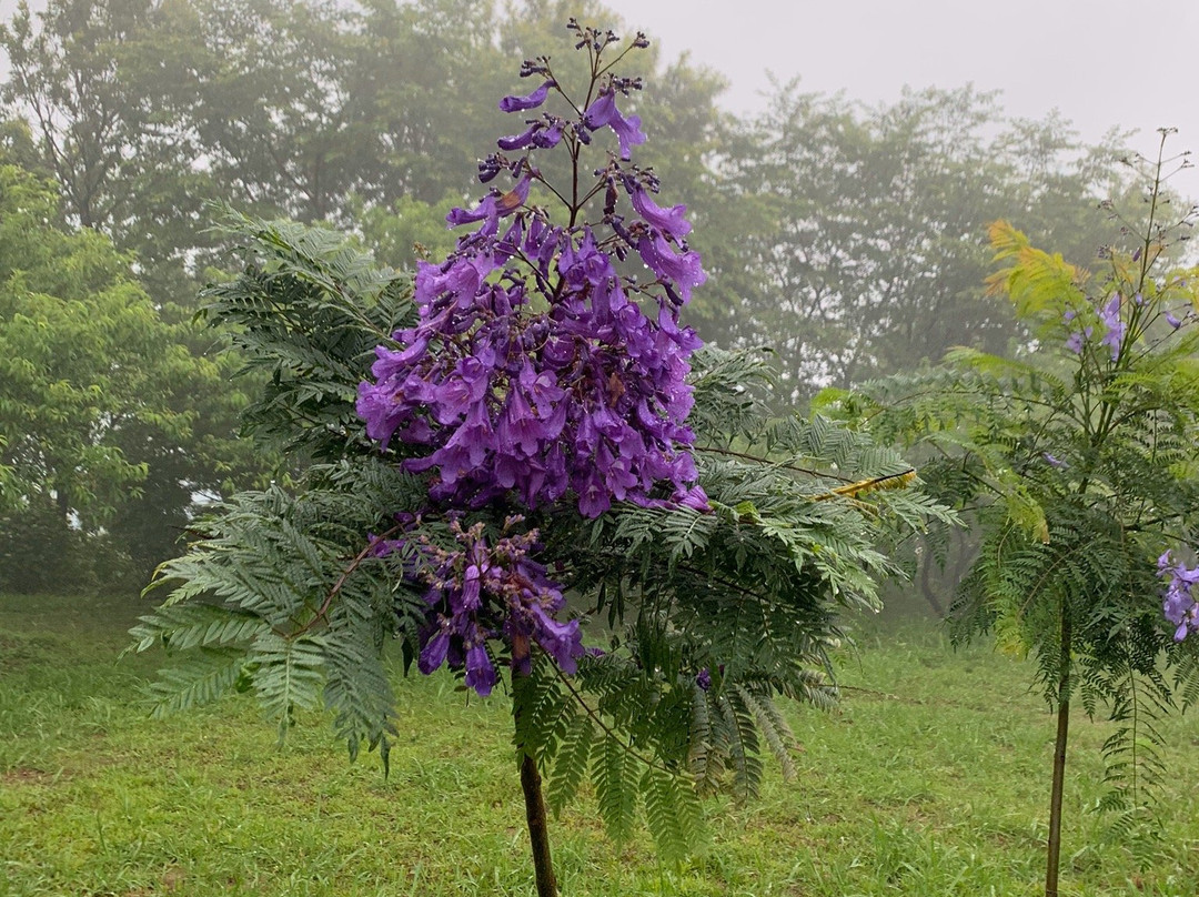 Cape Togenkyo-门川町必去景点