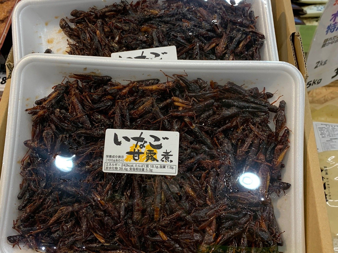 Michi no Eki Furusato Toyota-中野市必去景点