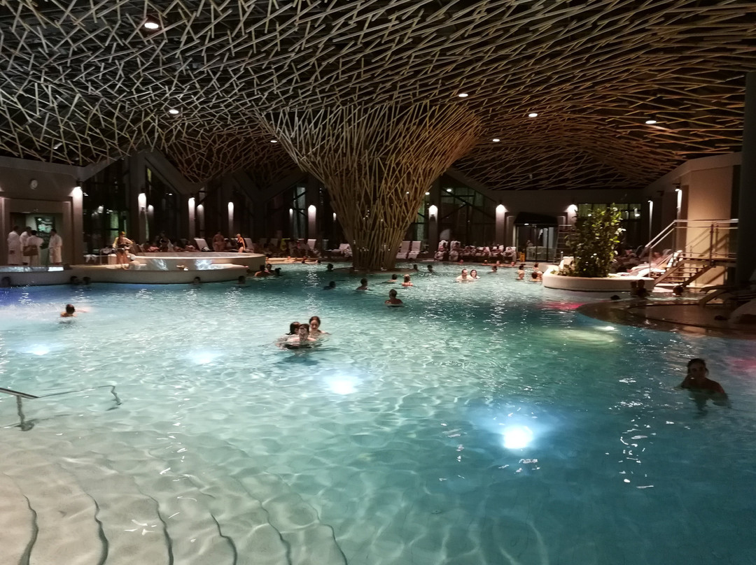 Family Wellness Termalija