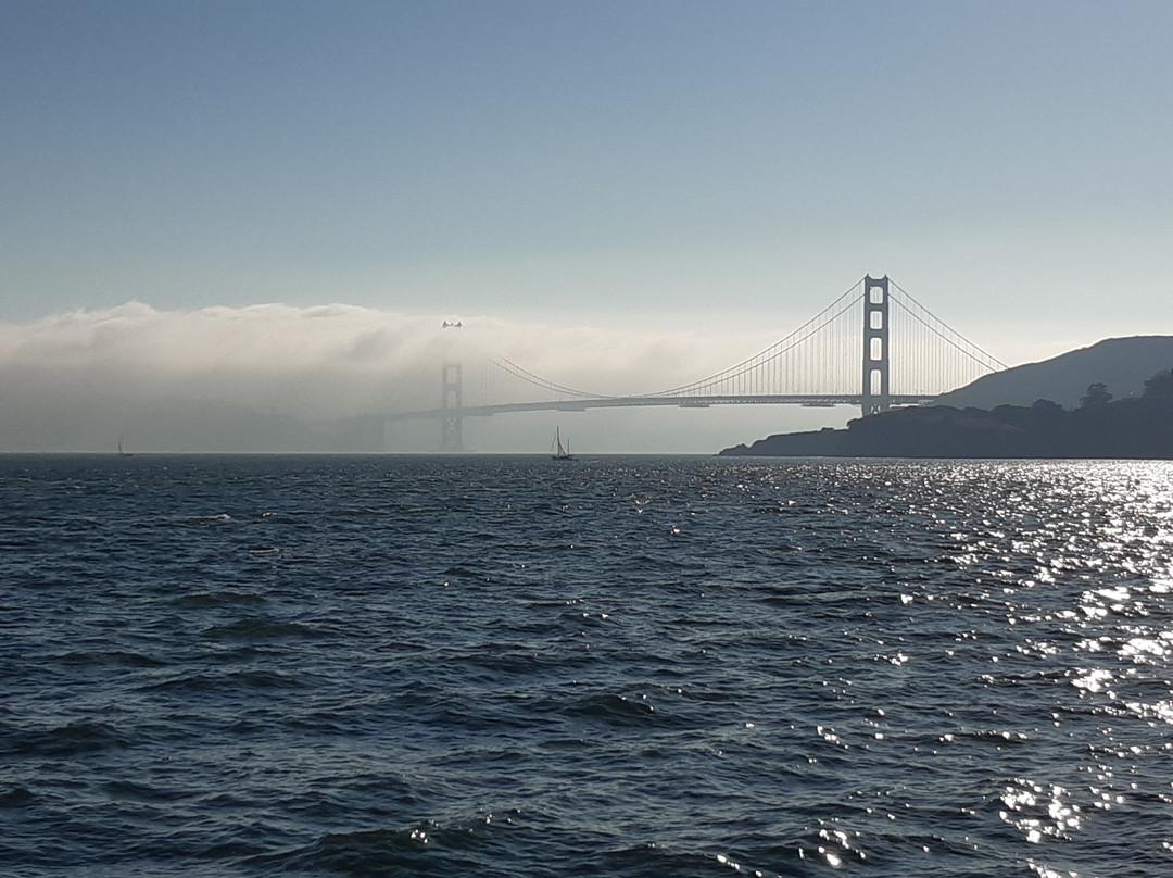 Tom's Muir Woods Walking Tours景点图片