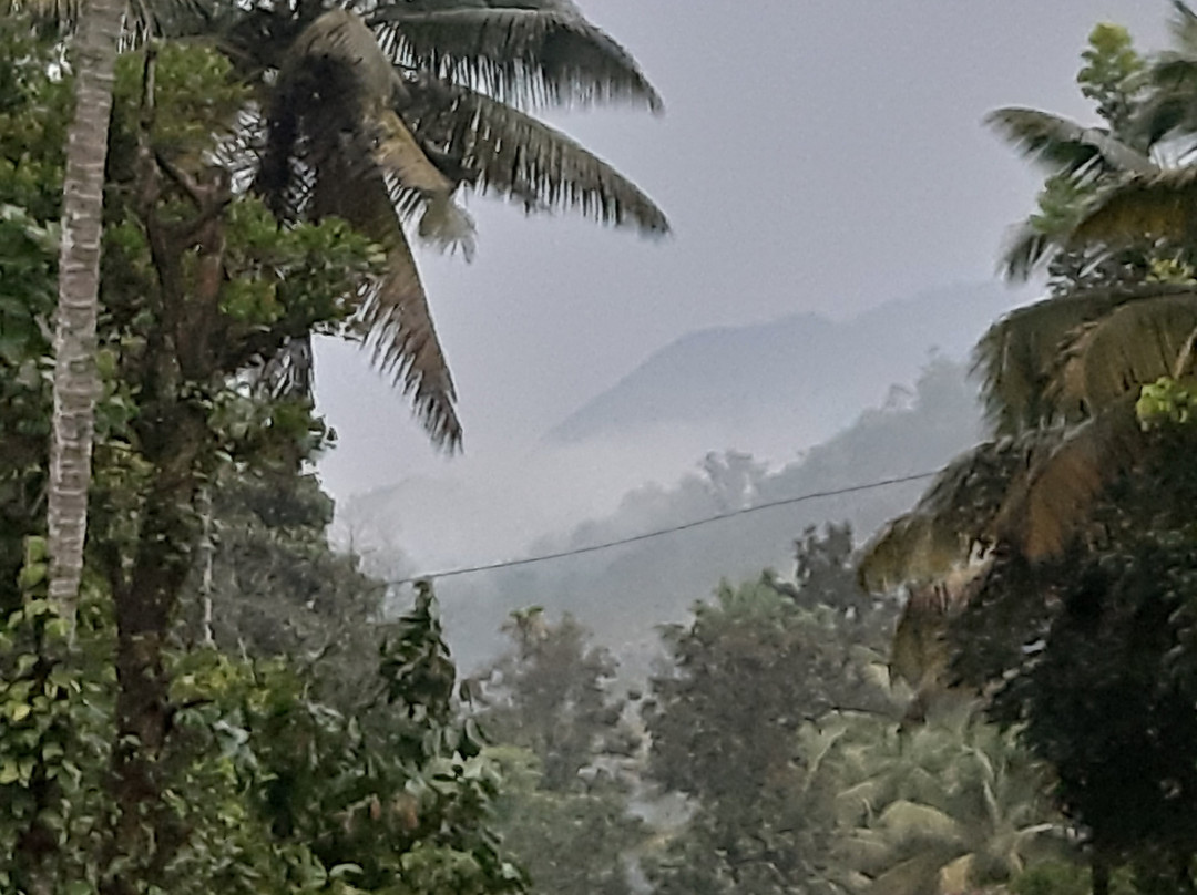 Thoppil Homestay Munnar主图