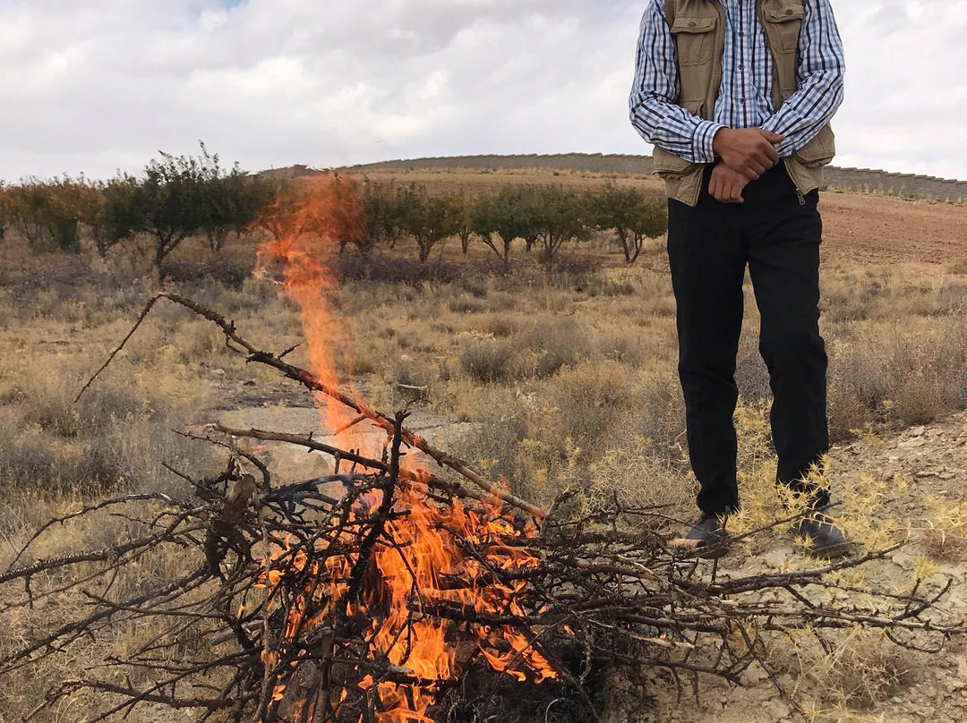 Qashqai Nomad Village-Shiraz必去景点