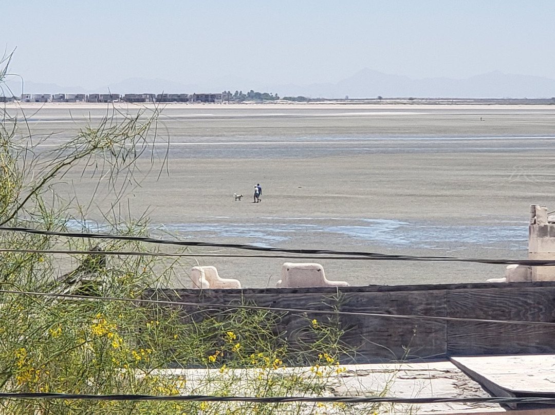 Cholla Bay-La Choya必去景点