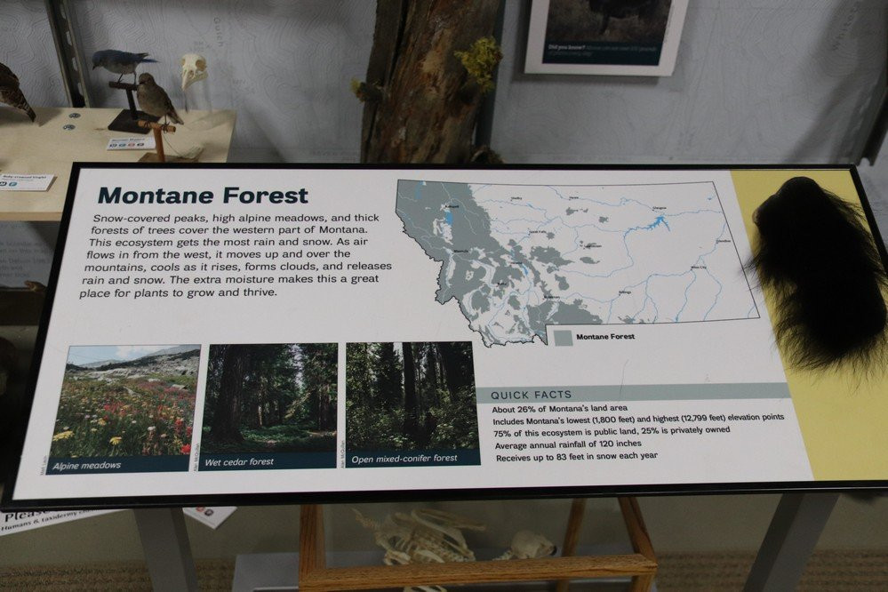 Montana Natural History Center-米苏拉必去景点