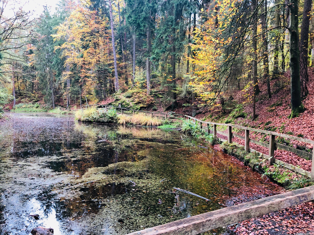 Märchensee景点图片