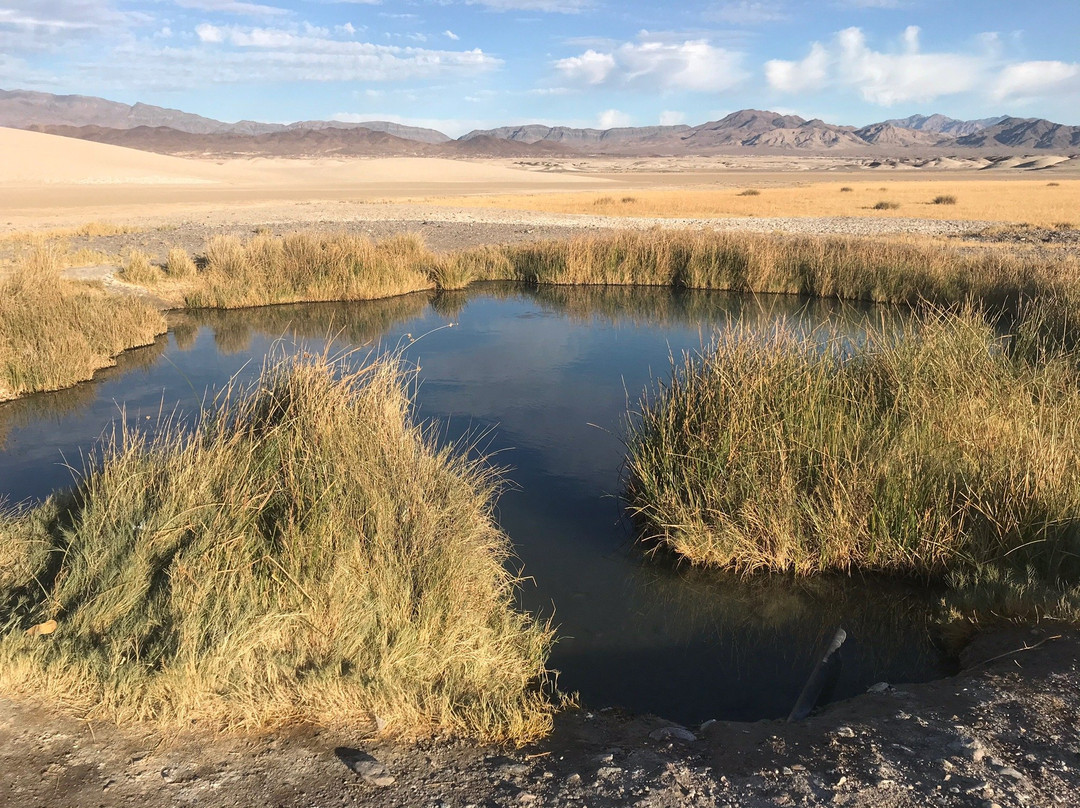 Tecopa Hot Springs-Tecopa必去景点