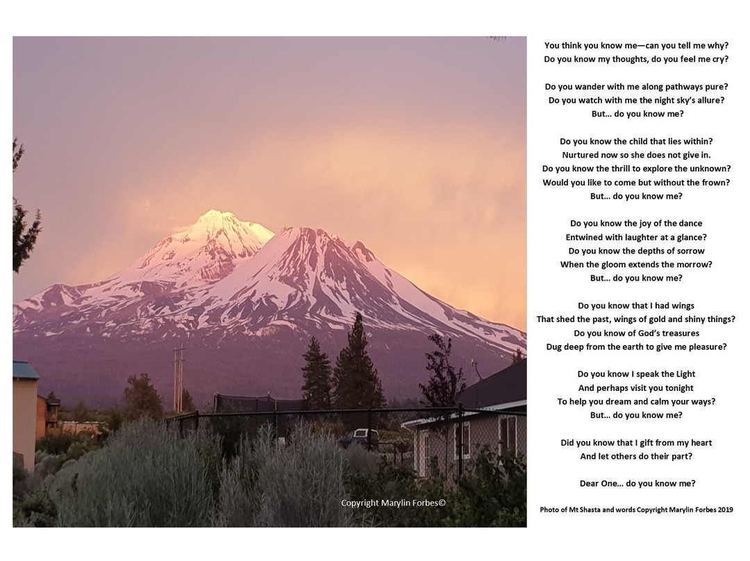 Mount Shasta Board & Ski Park景点图片