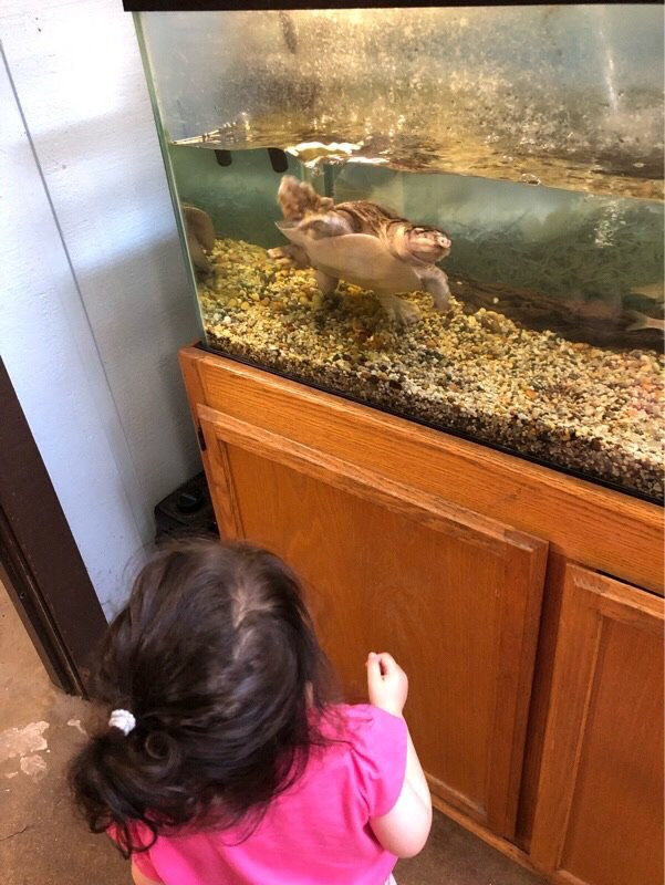 Wildwood Nature Center-Park Ridge必去景点