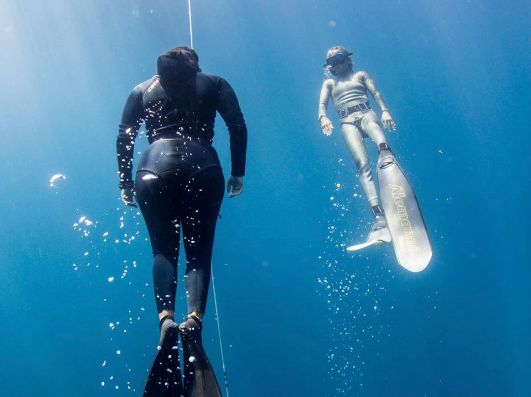 MT Solomons Freediving-拉巴斯必去景点