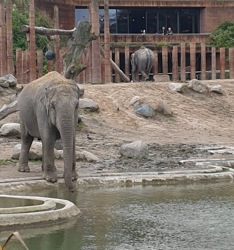 Norman Fosters Elefanthus景点图片